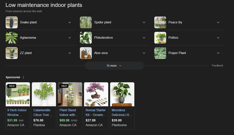 Indoor Plants AIO SERP